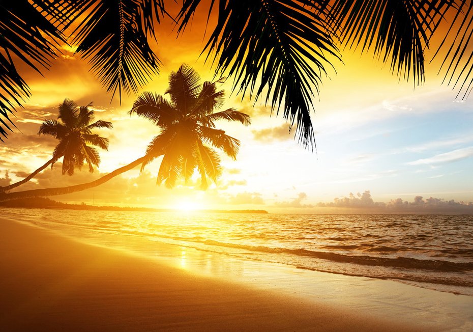 Fototapeta - plaża, palmy, zachód słońca