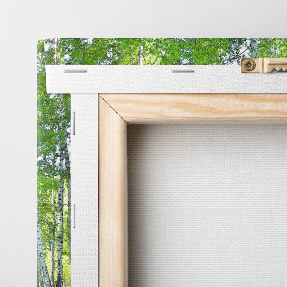 Obraz na płótnie - las, brzozy, natura