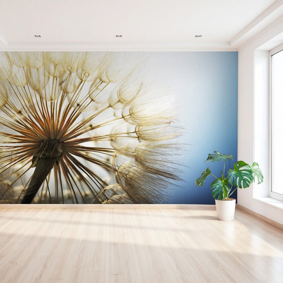 Fototapeta - dmuchawiec, natura, makro