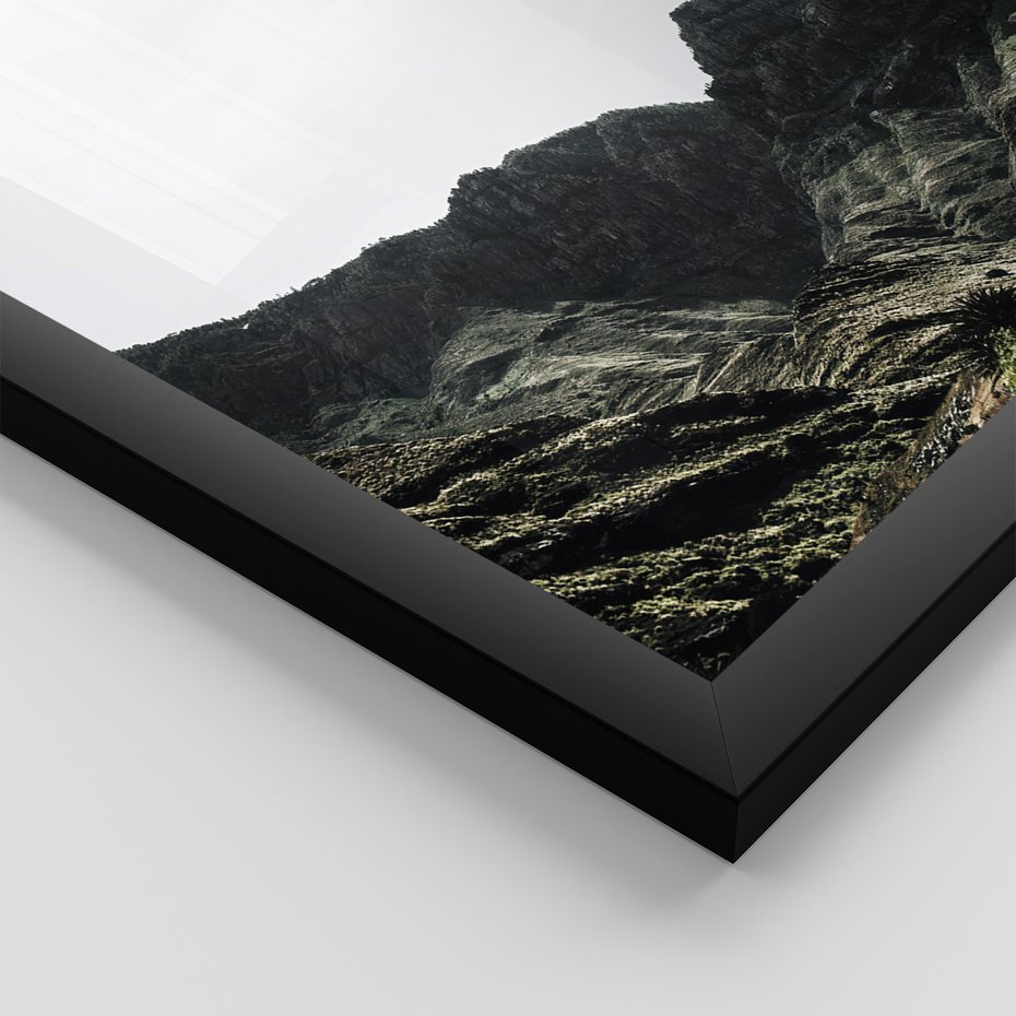 Zestaw obrazy w ramie, plakaty - góry, kaktus, rośliny - rama czarna