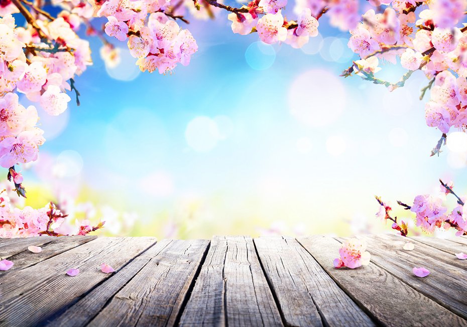 Fototapeta - kwiaty, wiosna, różowy