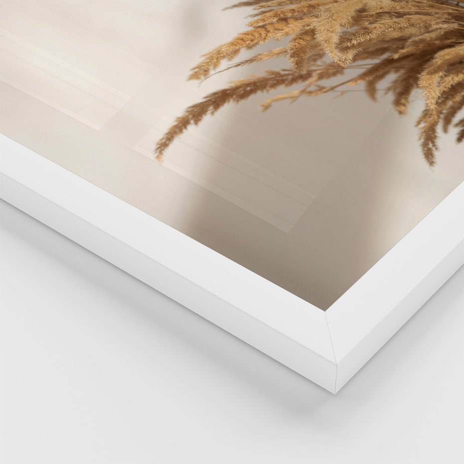 Zestaw obrazy w ramie, plakaty - trawa, dekoracja, pióra - rama biała