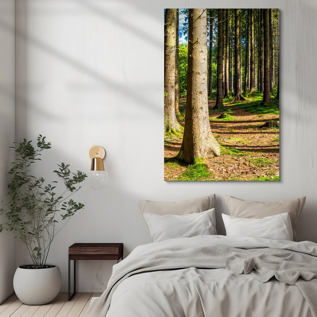 Obraz na płótnie - las, drzewa, przyroda