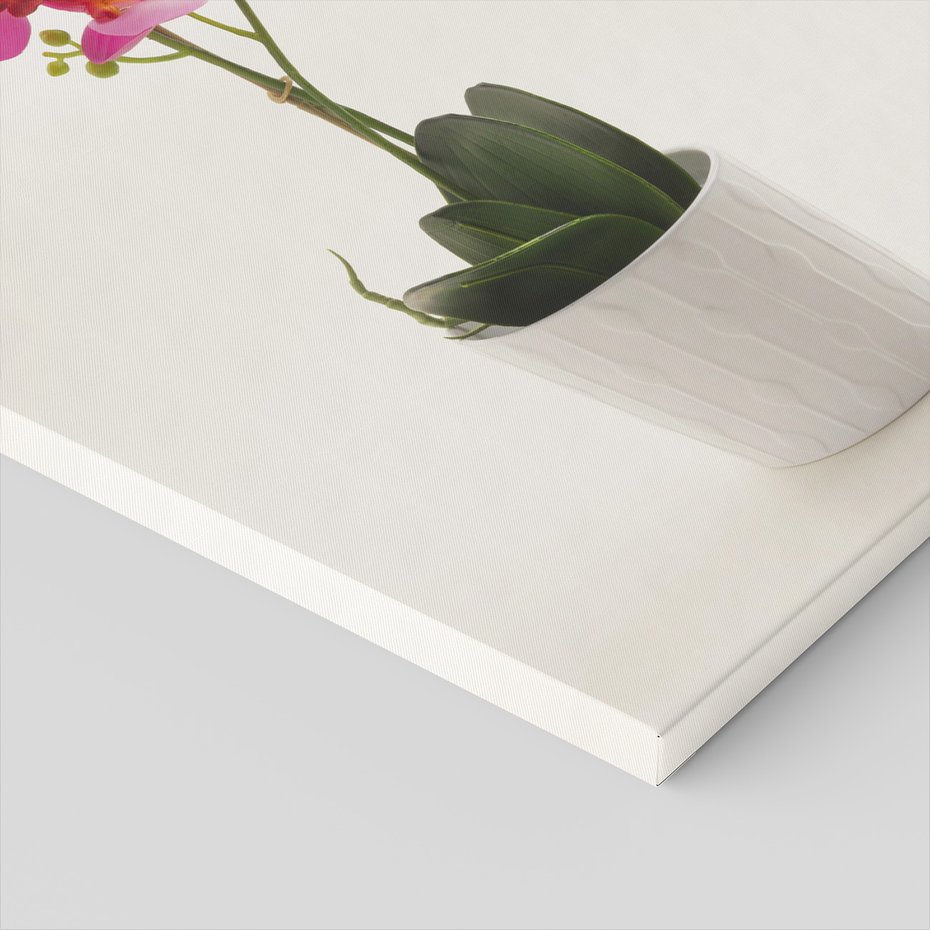 Obraz na płótnie - kwiat, doniczka, roślina