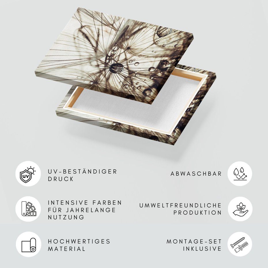 Obraz na płótnie - makro, krople, nasiona