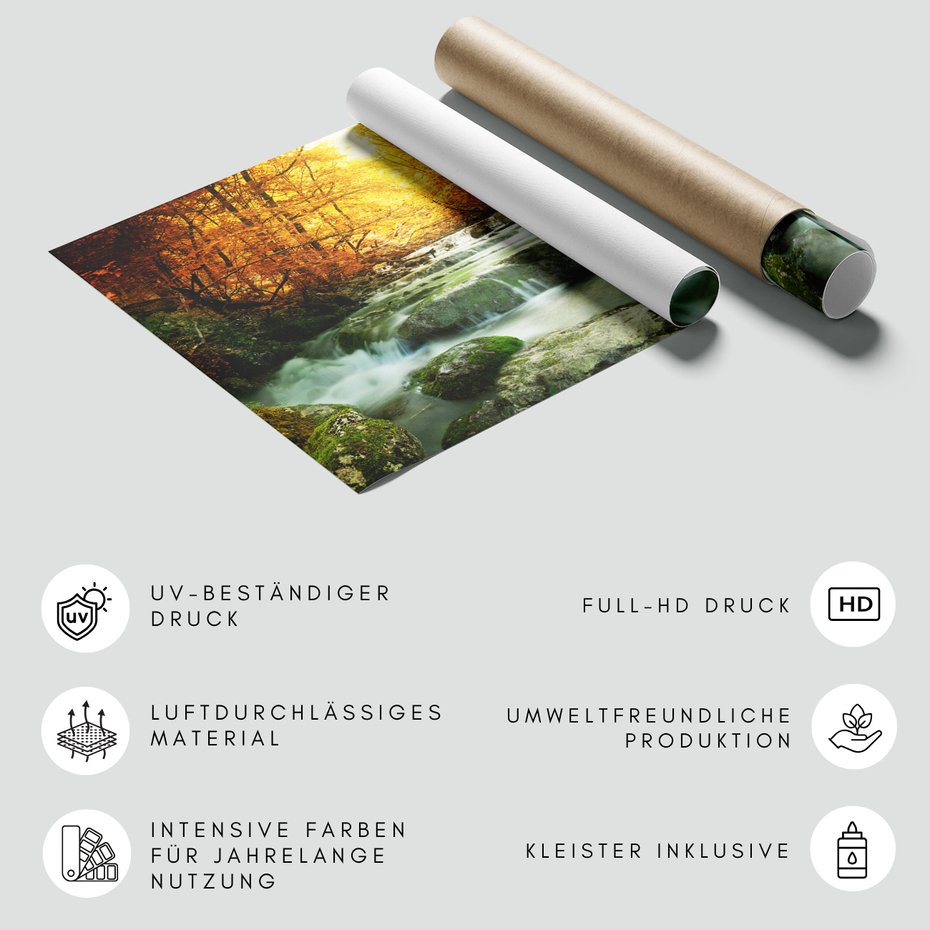 Fototapeta - jesień, las, woda