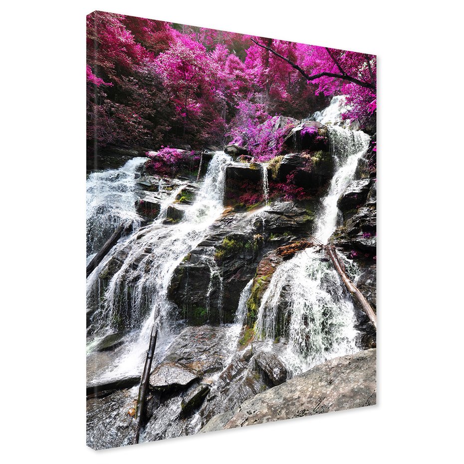 Obraz na płótnie - wodospad, las, skały