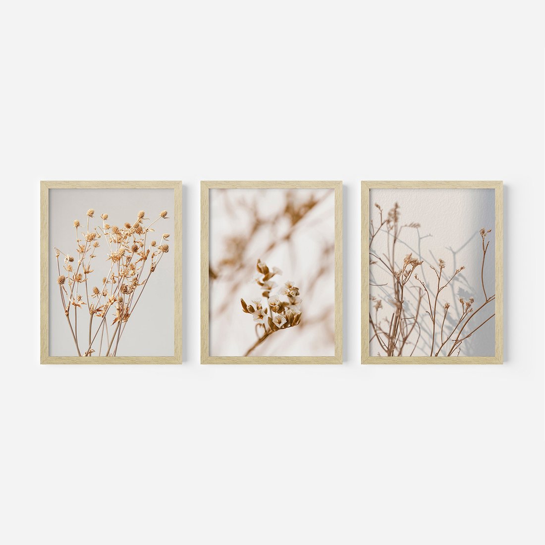 Zestaw obrazy w ramie, plakaty - kwiaty,rośliny,suszone, - rama drewno