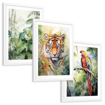 Zestaw obrazy w ramie, plakaty - papuga, liście, tygrys - rama biała