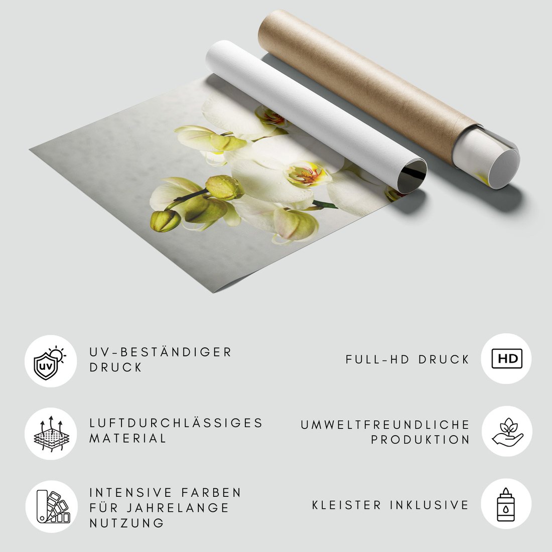 Fototapeta - orchidee, kwiaty, białe