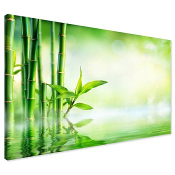 Obraz na płótnie - bambus, woda, liście