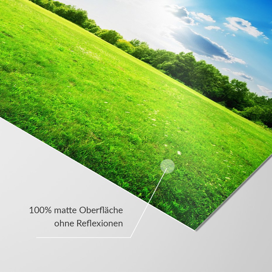 Fototapeta - krajobraz, łąka, drzewa