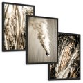 Zestaw obrazy w ramie, plakaty - kukurydza, pole, rolnictwo - rama czarna