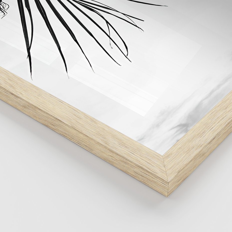 Zestaw obrazy w ramie, plakaty - palmy, liście, tropikalne - rama drewno