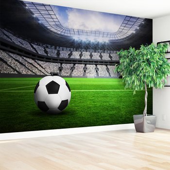 Fototapeta - piłka, stadion, sport