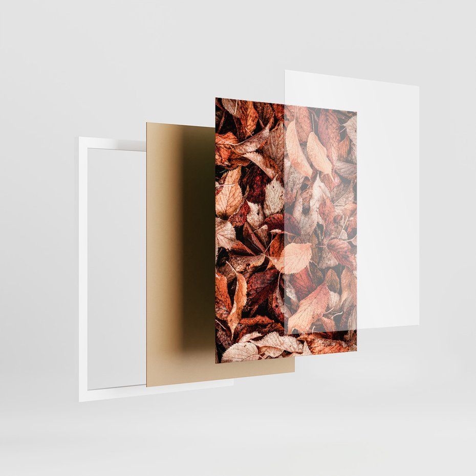 Zestaw obrazy w ramie, plakaty - liście,jesień,drzewa - rama biała