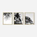 Zestaw obrazy w ramie, plakaty - palmy, liście, tropikalne - rama drewno
