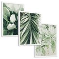 Zestaw obrazy w ramie, plakaty - liście, tropikalne, roślina - rama biała