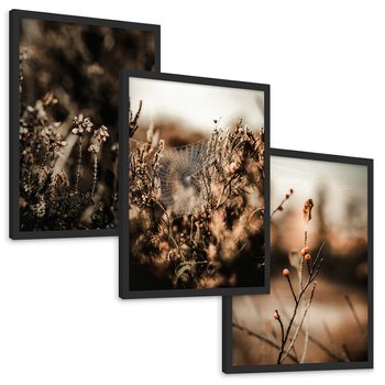 Zestaw obrazy w ramie, plakaty - przyroda, rośliny, natura - rama czarna