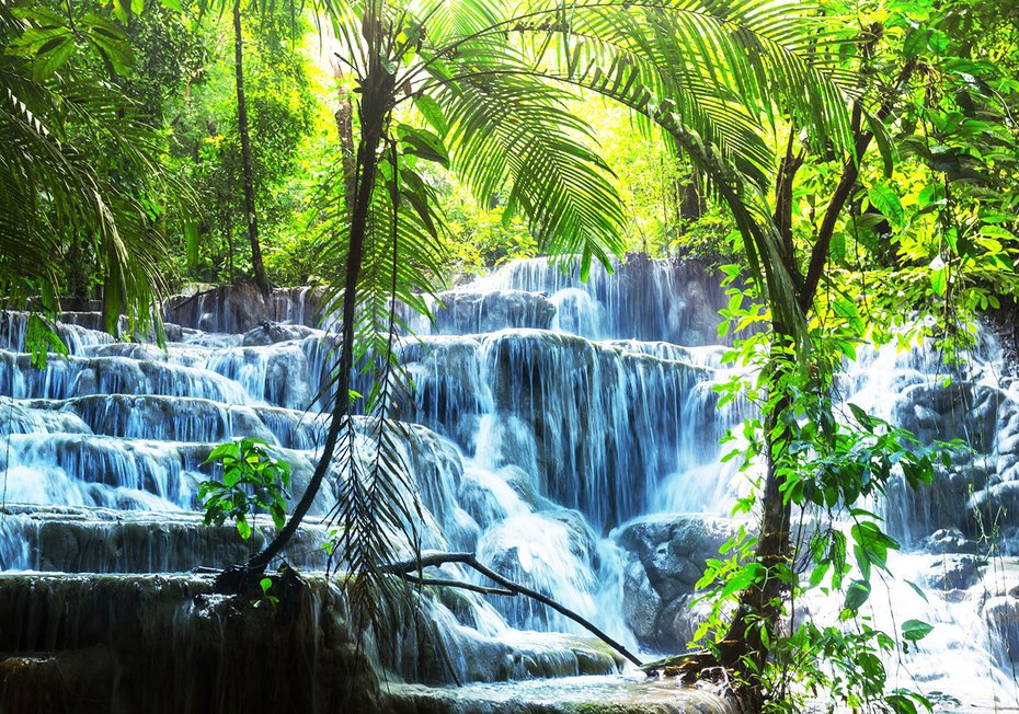 Fototapeta - wodospad, las, natura