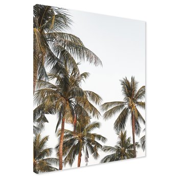 Obraz na płótnie - palmy, tropiki, liście