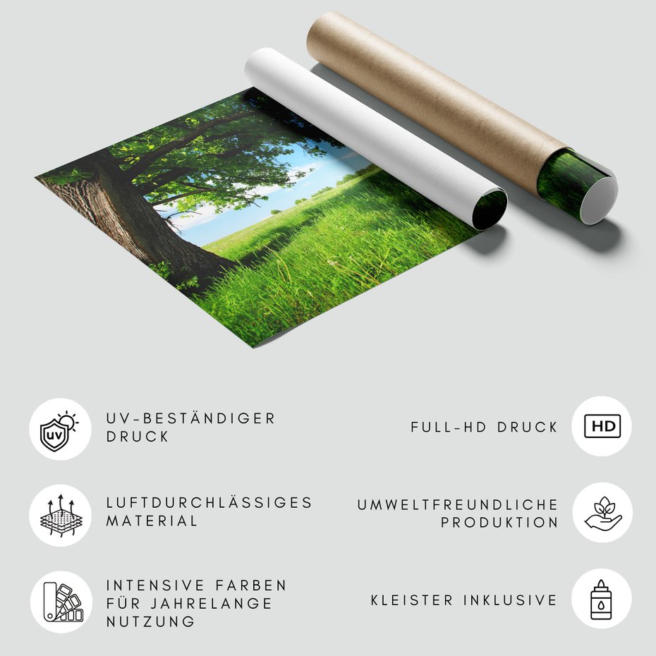 Fototapeta - drzewo, łąka, zielony