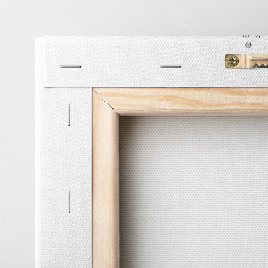 Obraz na płótnie - limonka, woda, owoce