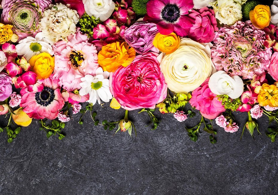 Fototapeta - kwiaty, abstrakcja, kompozycja