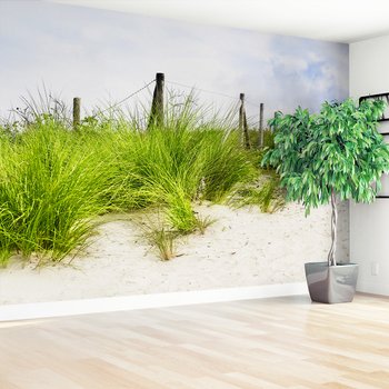 Fototapeta - wydma, trawa, plaża