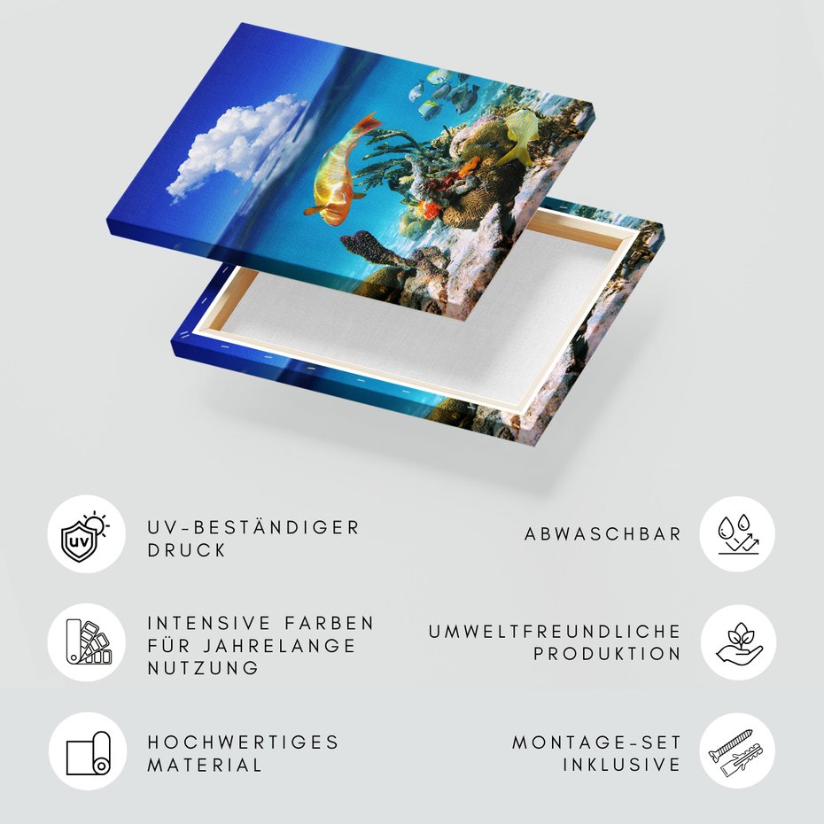 Obraz na płótnie - ryba, rafa, morze