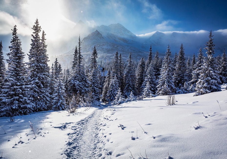 Fototapeta - zima, śnieg, góry