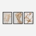 Zestaw obrazy w ramie, plakaty - roślina, kwiat, suszone - rama czarna
