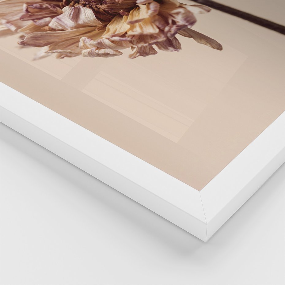 Zestaw obrazy w ramie, plakaty - kwiaty, suche, więdnięcie - rama biała