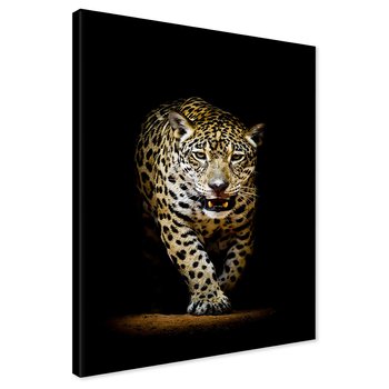 Obraz na płótnie - jaguar, zwierzę, drapieżnik