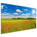 Obraz na płótnie - łąka, kwiaty, niebo