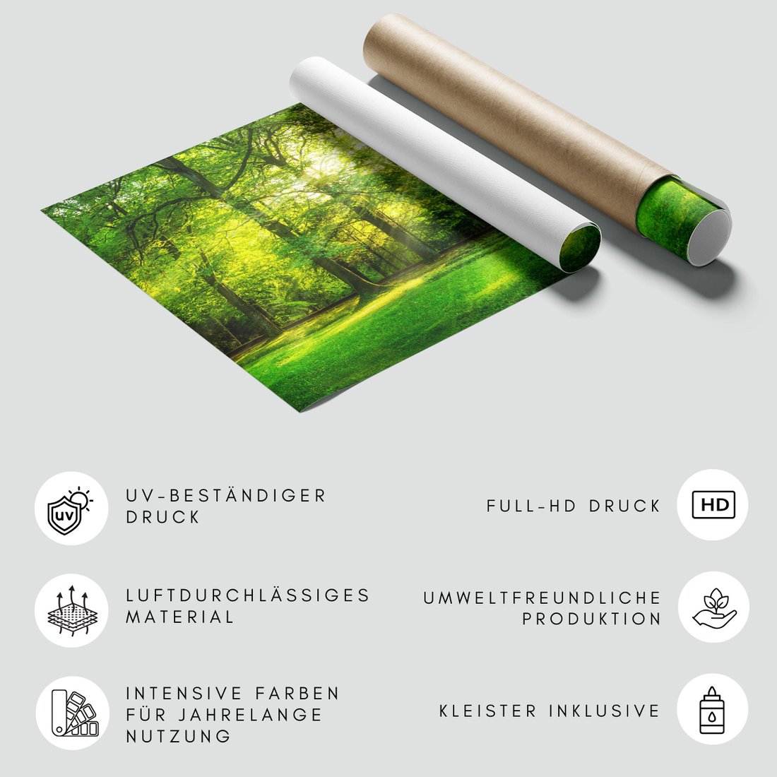 Fototapeta - las, drzewa, słońce