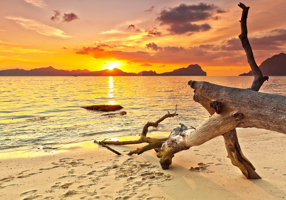 Fototapeta - plaża, zachód słońca, morze