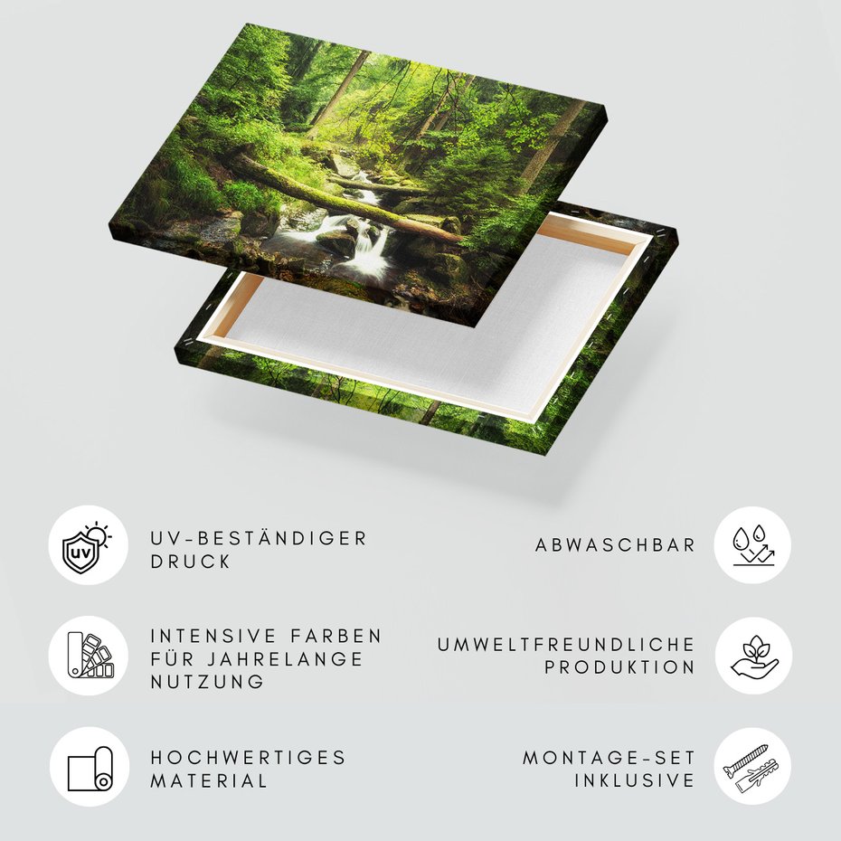 Obraz na płótnie - las, wodospad, potok