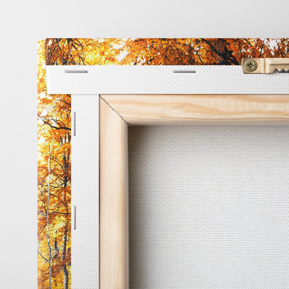 Obraz na płótnie - wodospad, jesień, las