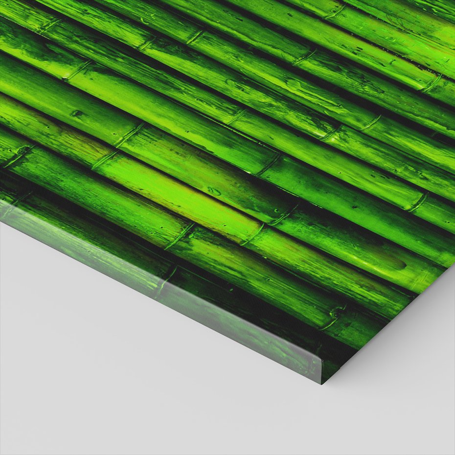 Obraz na płótnie - bambus, zielony, roślina