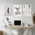 Zestaw obrazy w ramie, plakaty - pióro, minimalizm, tło - rama biała