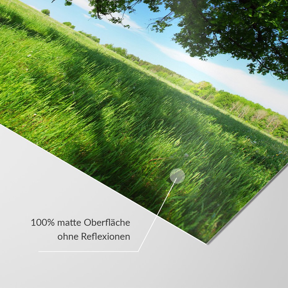 Fototapeta - drzewo, łąka, zielony