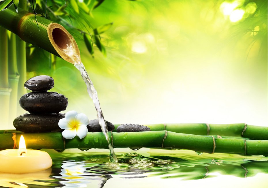 Fototapeta - bambus, woda, kamienie