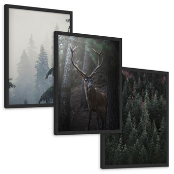 Zestaw obrazy w ramie, plakaty - las, drzewa, jeleń - rama czarna