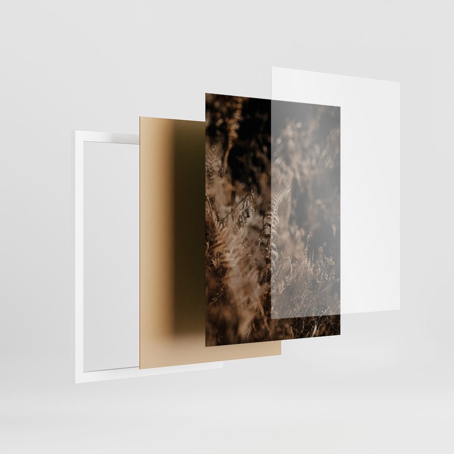 Zestaw obrazy w ramie, plakaty - jesień, liście, natura - rama biała