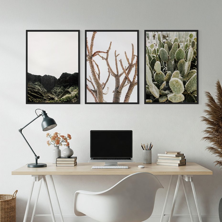 Zestaw obrazy w ramie, plakaty - góry, kaktus, rośliny - rama czarna