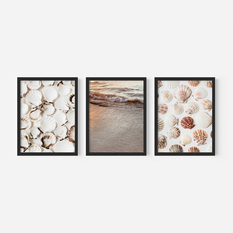 Zestaw obrazy w ramie, plakaty - muszle, plaża, woda - rama czarna