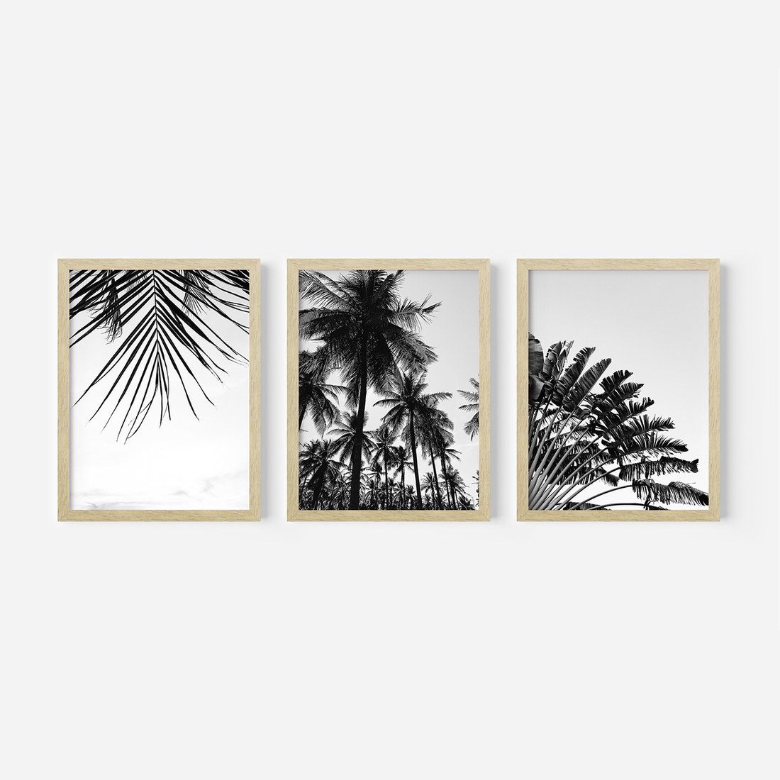 Zestaw obrazy w ramie, plakaty - palmy, liście, tropikalne - rama drewno