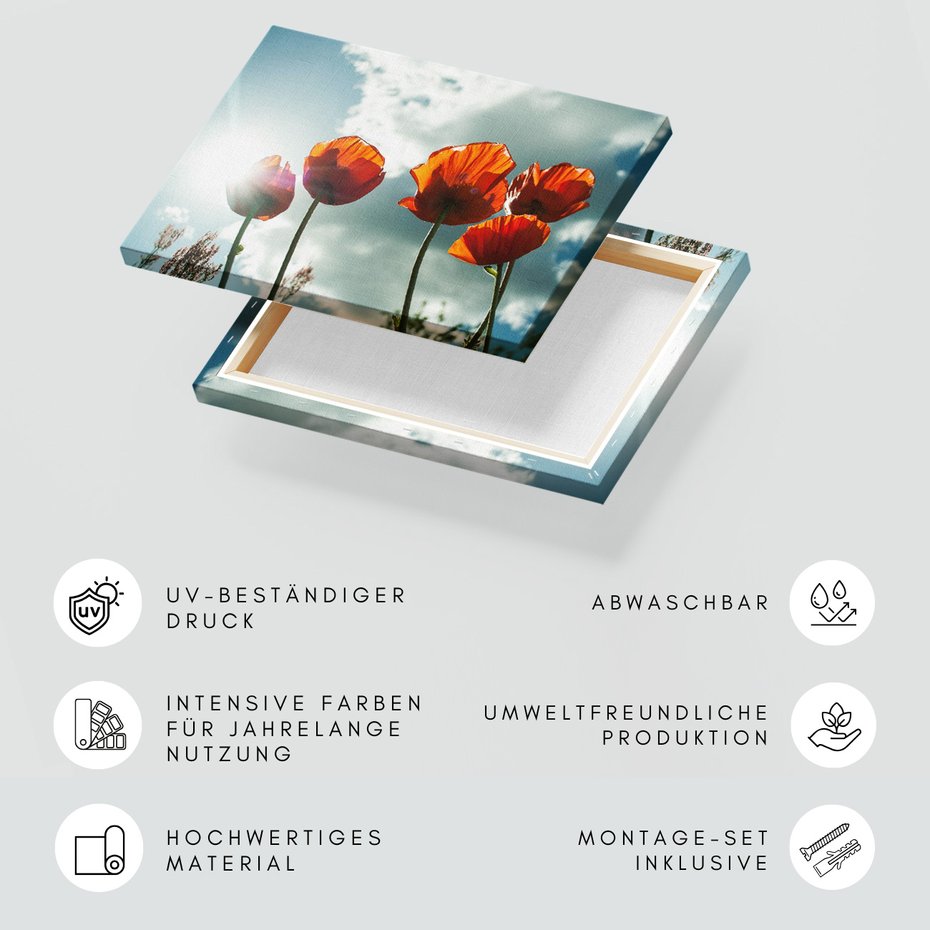 Obraz na płótnie - maki, kwiaty, niebo