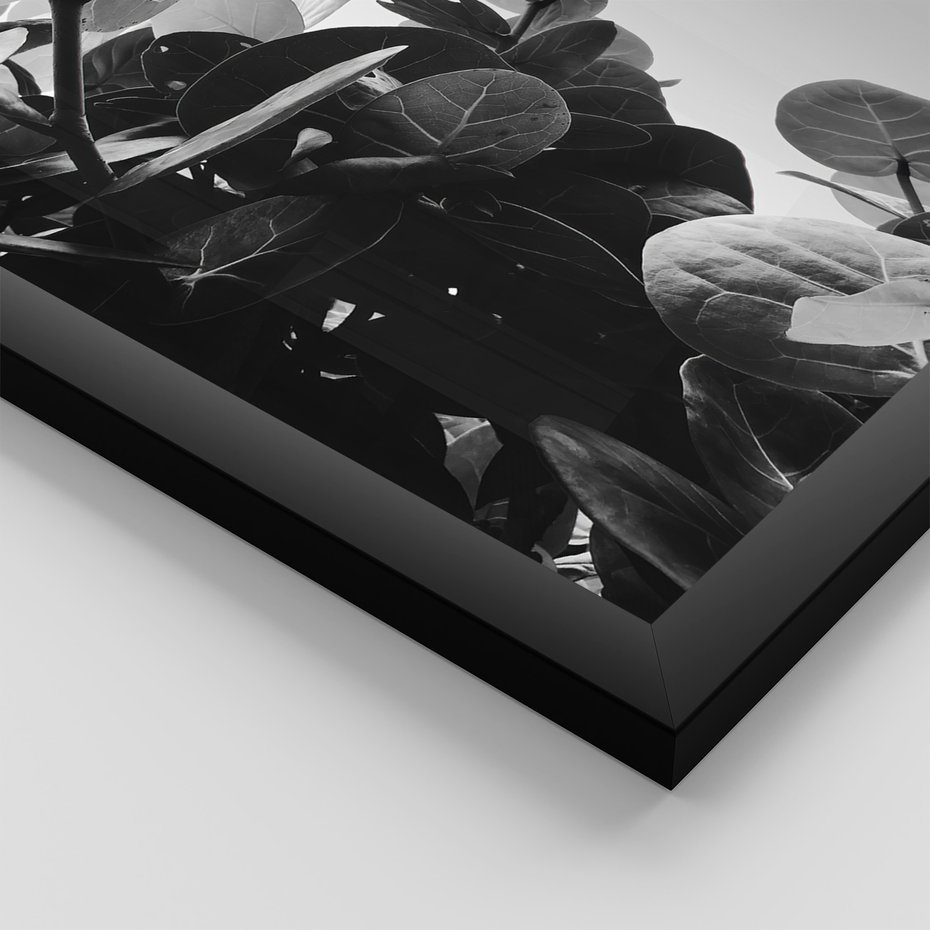 Zestaw obrazy w ramie, plakaty - liście, rośliny, natura - rama czarna